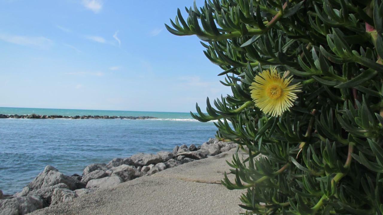 Sapori Di Mare Apartment ตรัปเปโต ภายนอก รูปภาพ